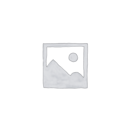 iPhone dock